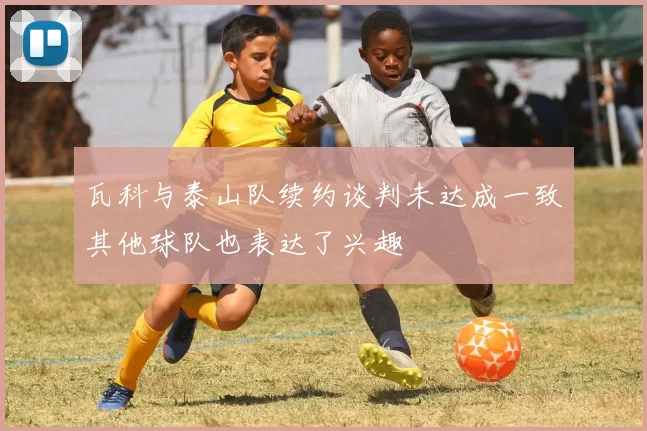 瓦科与泰山队续约谈判未达成一致其他球队也表达了兴趣