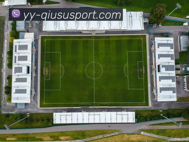 球速体育APP 封面图